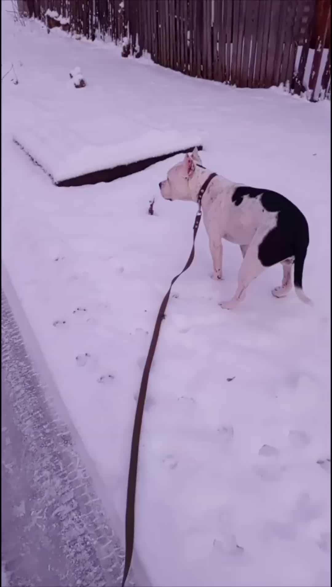 2. Укрепление взаимосвязи