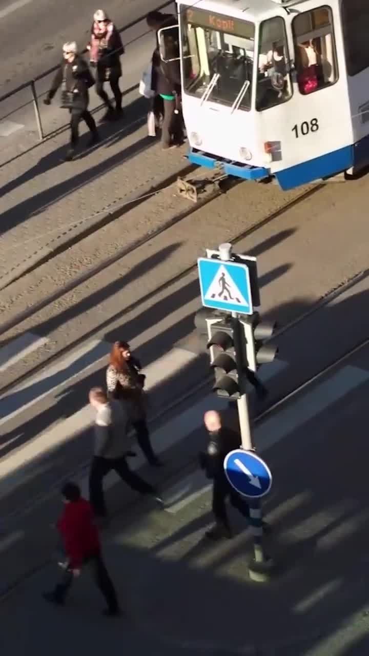 пищевая цепь арктики. питание в арктической зоне. цепи питания арктических пустынь 4 класс. арктическая зона российской федерации презентация. питание в арктической зоне.