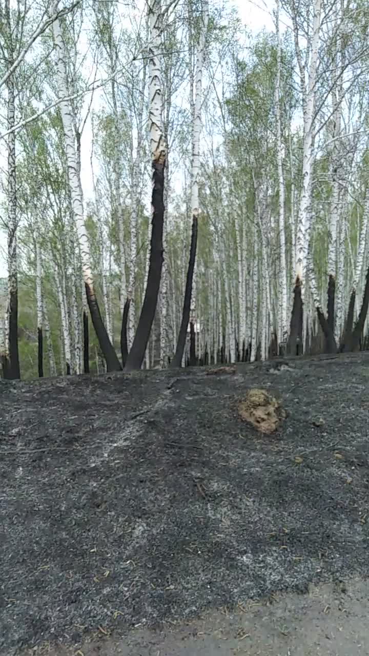 горит садовый домик. пожар на даче. пожары. пожар на даче. пожарные на даче.