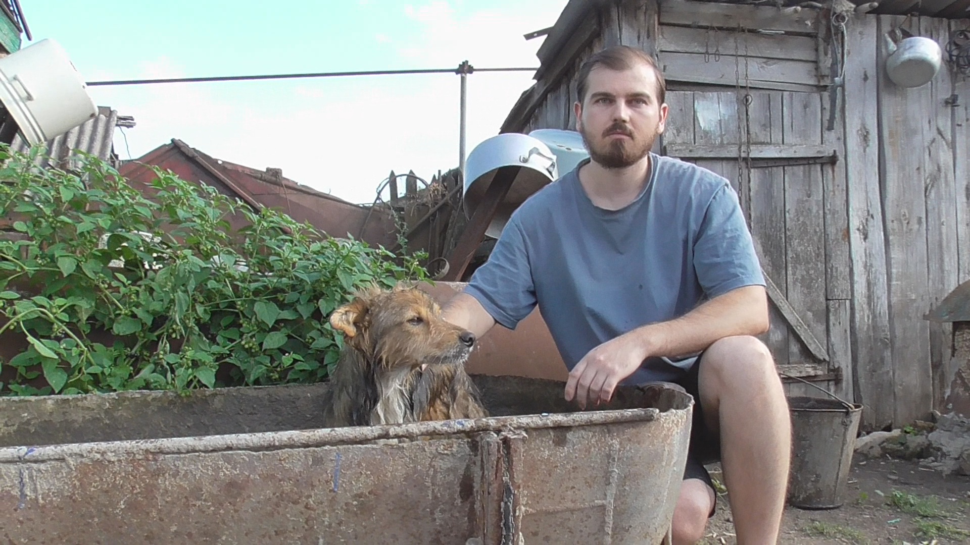 Моем пса. Моем пса. Собаку моют. Собаке жарко в машине. Вкусная собака.
