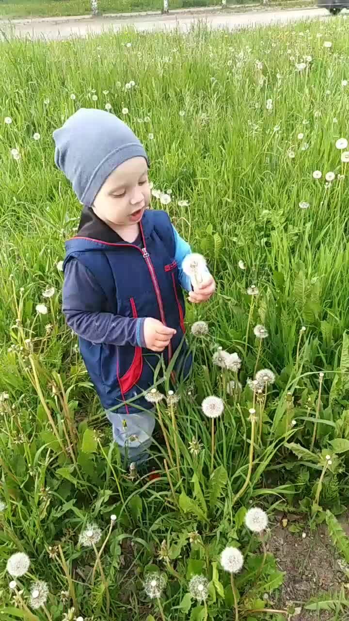 Похожее на одуванчики мама