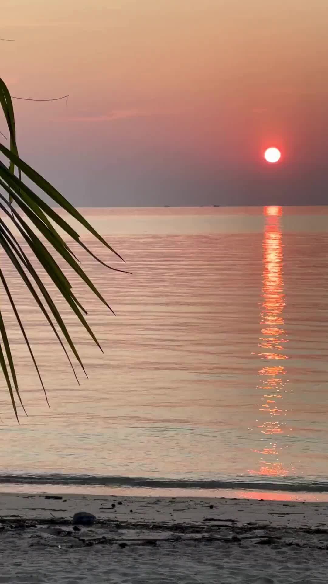 Кредит инвест групп. Инвест торги. Фортис логотип. Инвест групп. Инвест.