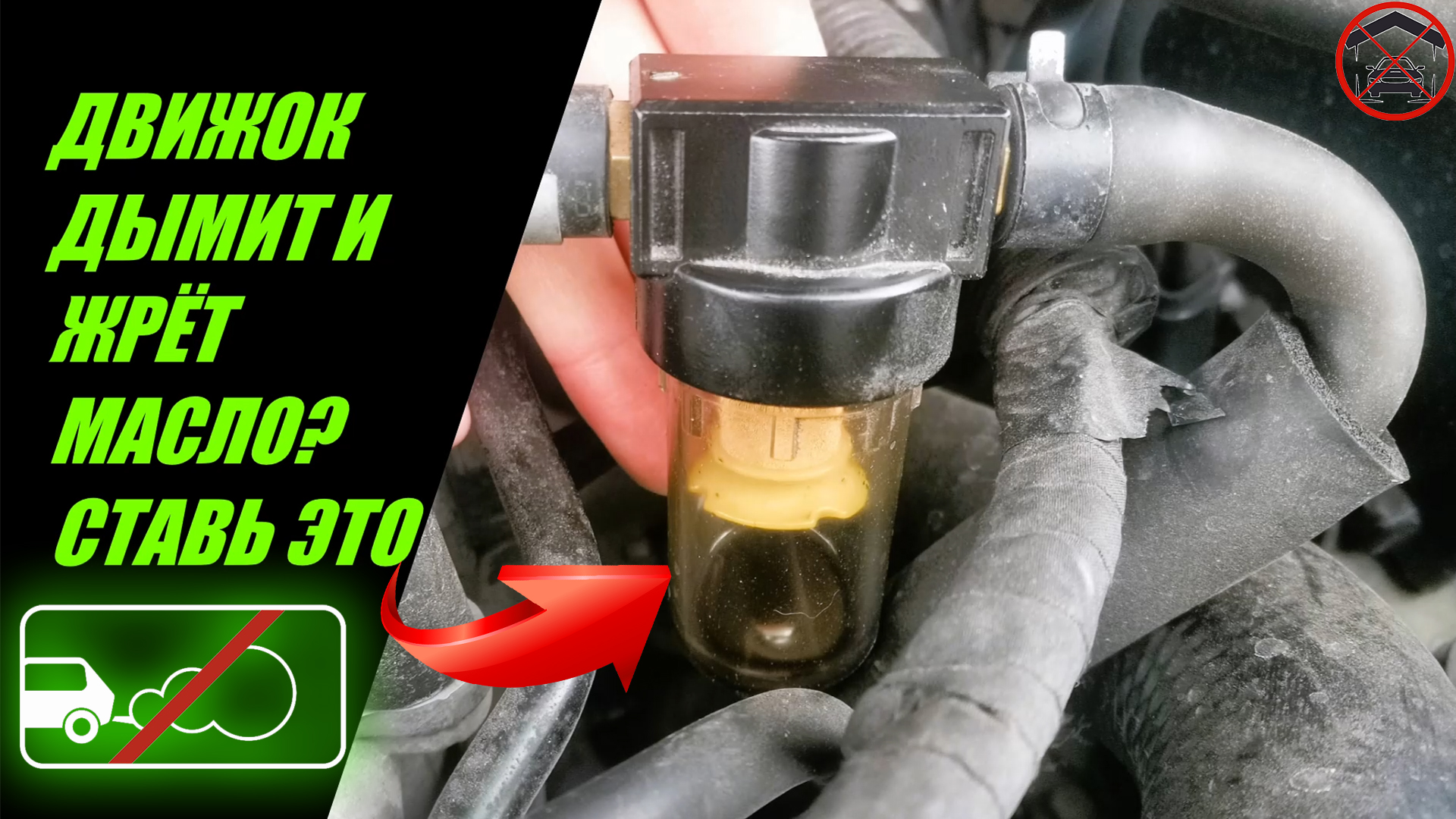 мужчина убирает. видео убери и делай. видео убери и делай. мужик убирается дома. парень убирается.