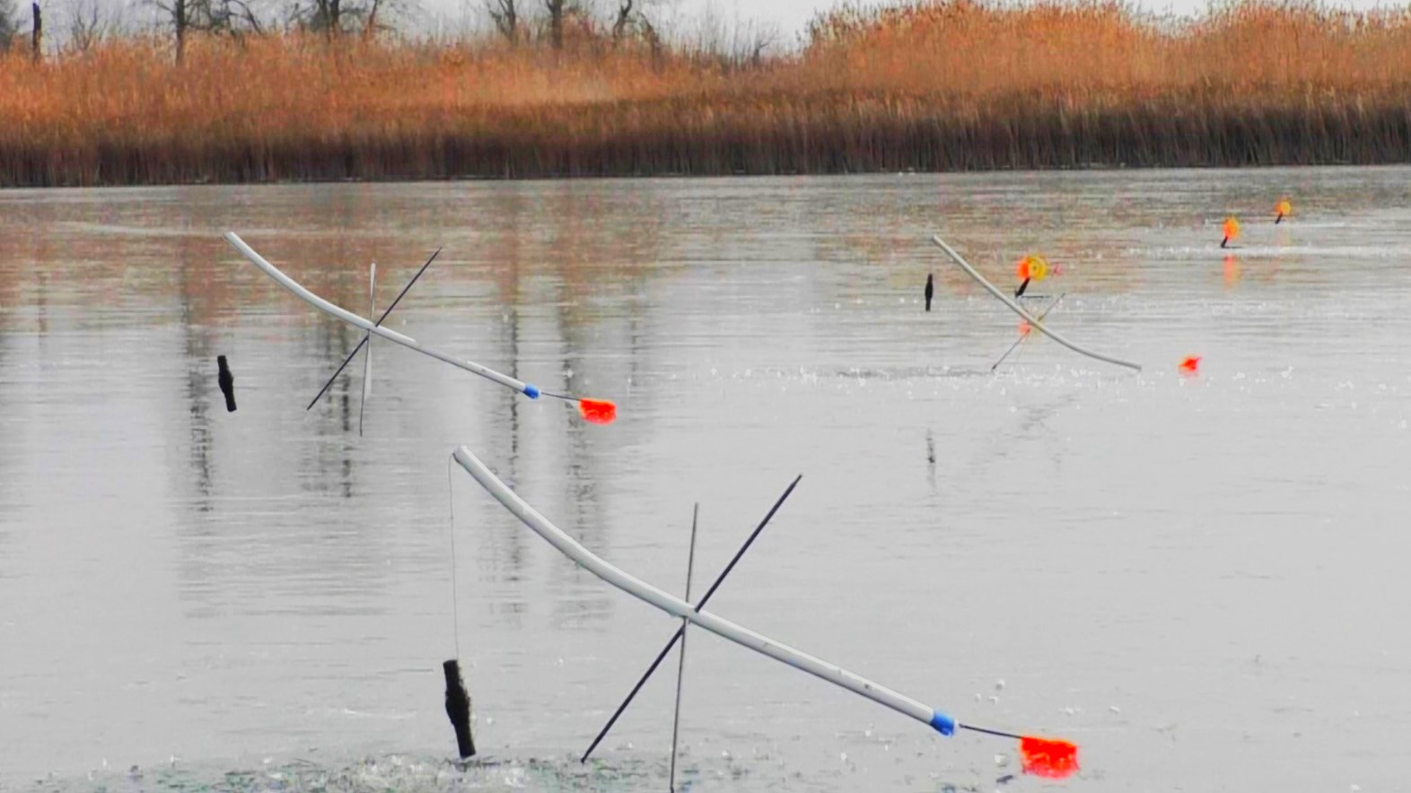 рыбалка со льда 2023 2024. зимняя рыбалка. рыбалка первый лед. рыбалка по первому льду 2021. озеро стерж рыбалка.