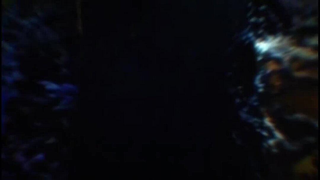 царство 2013 мария стюарт. лорд дарнли царство. царство мария 1 сезон. царство 2024. царство 2024.