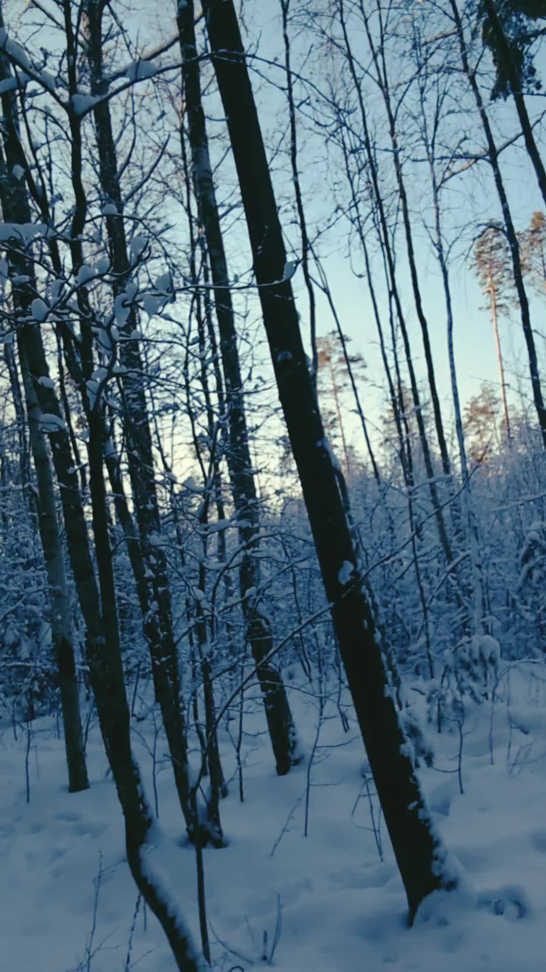 Песня я буду пить