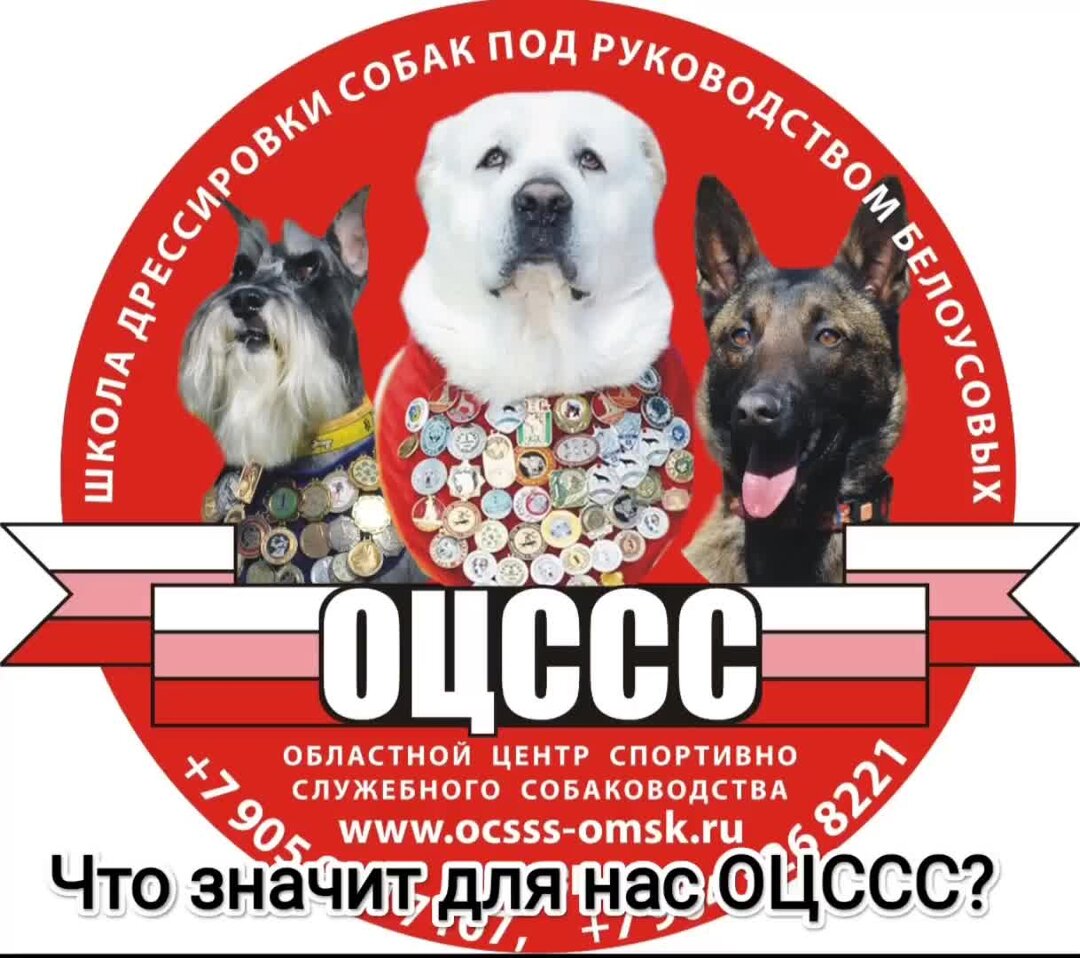 реклама кинолога. добрая дрессировка. окд зкс. малинуа зкс. презентация дрессировка собак.