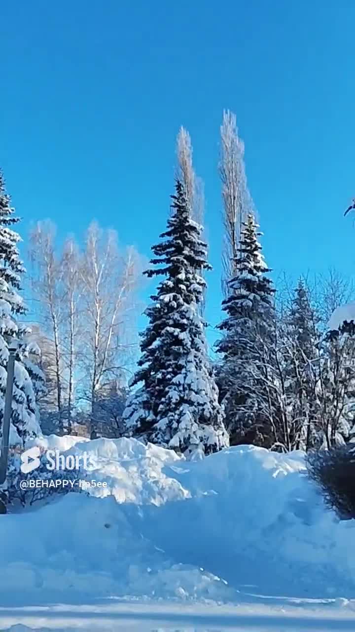 Иванушки international три коня. Иванушки три белых коня. Иванушки три белых коня. Иванушки три белых коня. Фильм чародеи песня три белых коня.