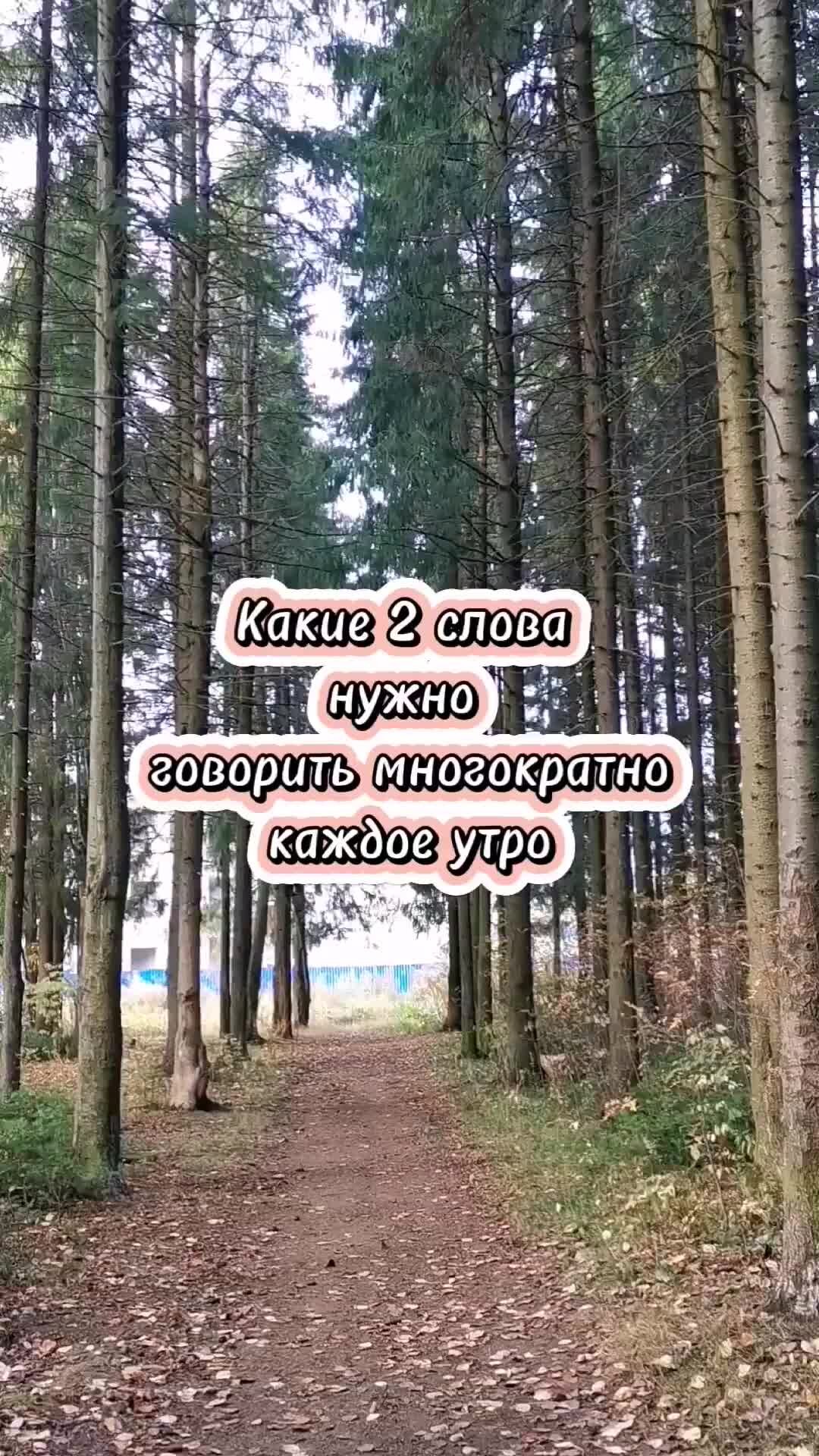 умные цитаты. афоризмы про мудрость. умные фразы. мудрые цитаты. два мудрых слова.