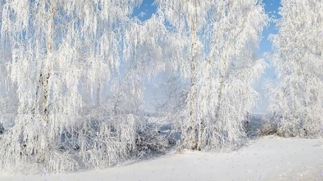 Белый снег самый самый чистый. С заснеженной зимой ролик песни.