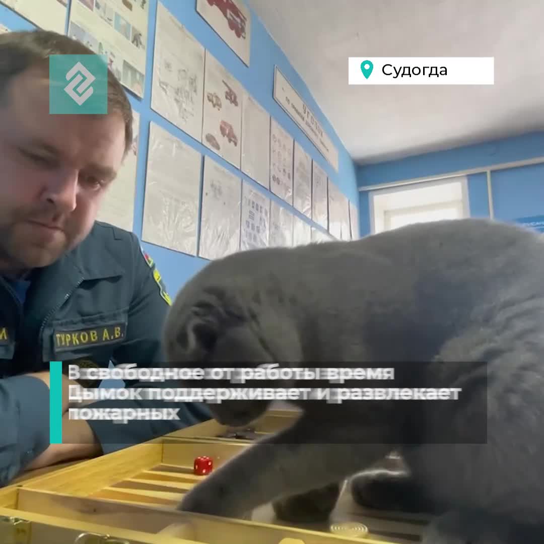 В дтп в нерабочее время. В дтп в нерабочее время. В дтп в нерабочее время. Помощник осаго фото дтп. Смертельное дтп в парицах.