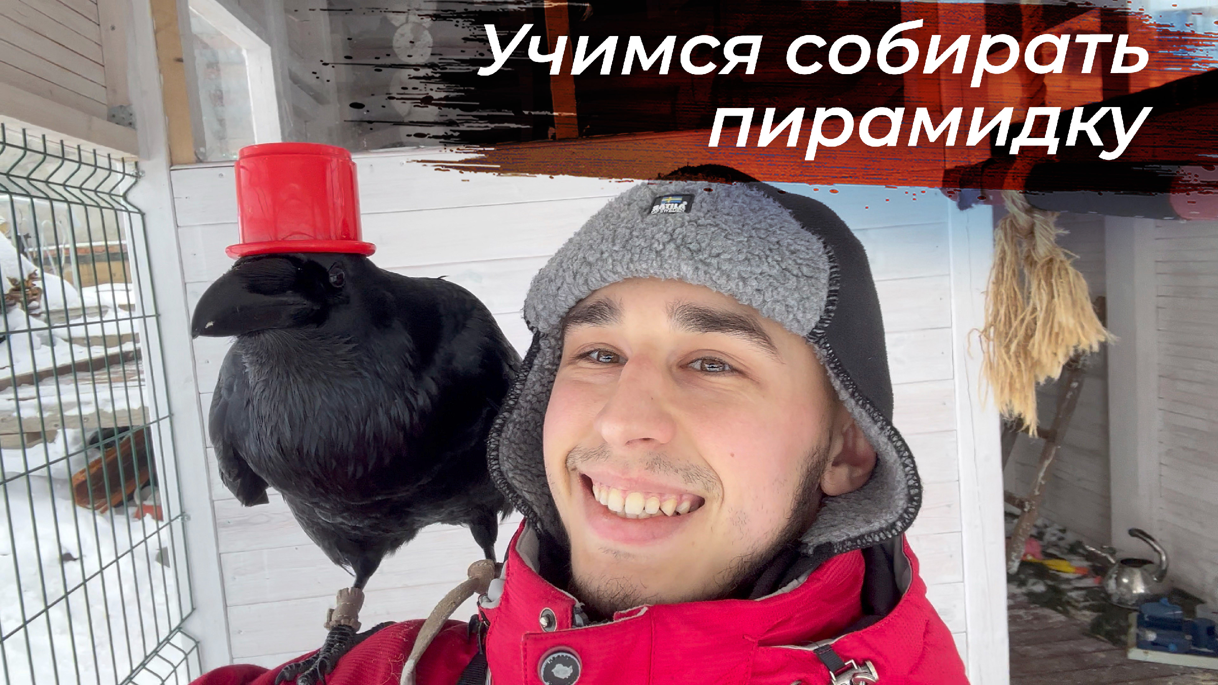 Crow пермь. Crow пермь