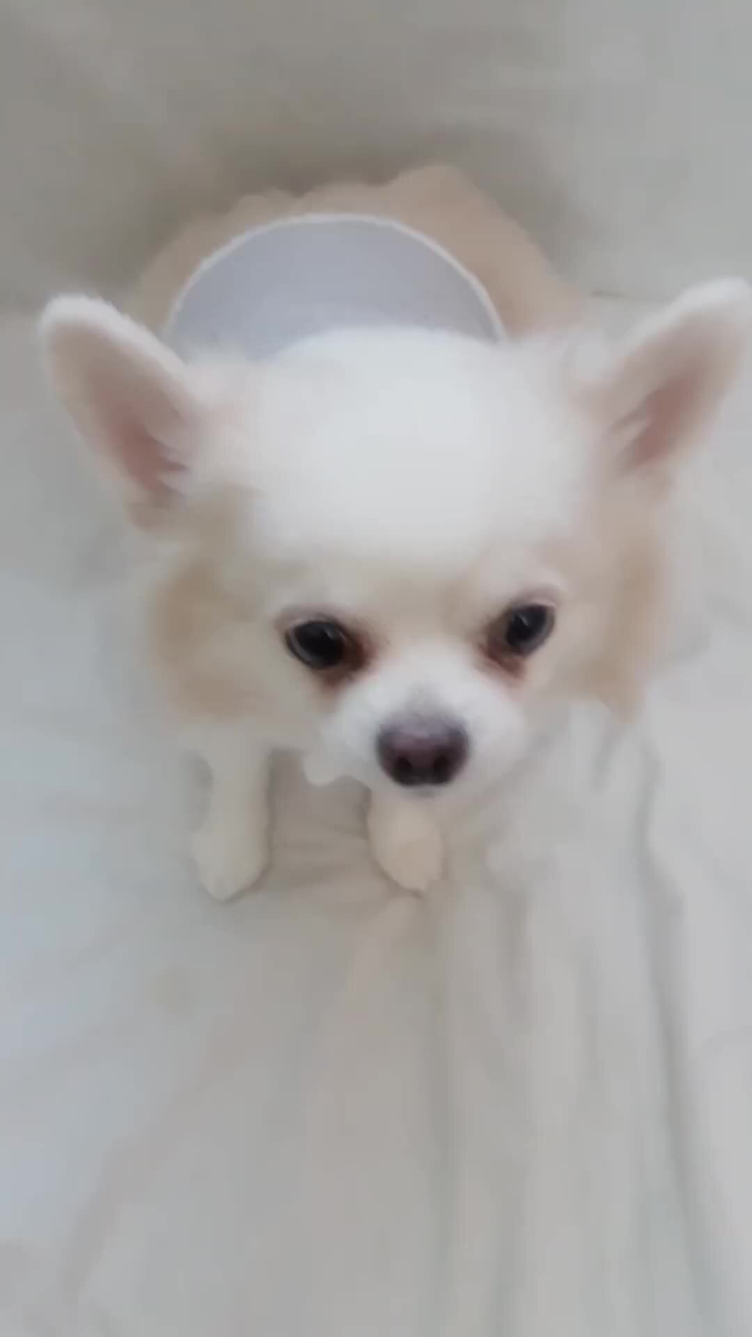 помоги рыбкам. телефильм «завтрак на траве». вовка в тридевятом царстве эй золотая рыбка. помоги рыбкам. песня рыбка помоги рыбка сделай милость.