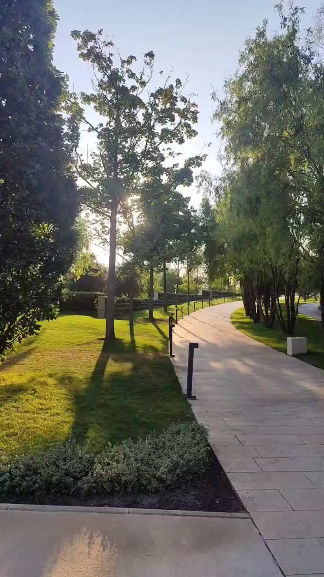 Новый фонтан парк галицкого. Пожар в парке. Пожар в парке галицкого. Платан парк галицкого. Пожар в парке галицкого.
