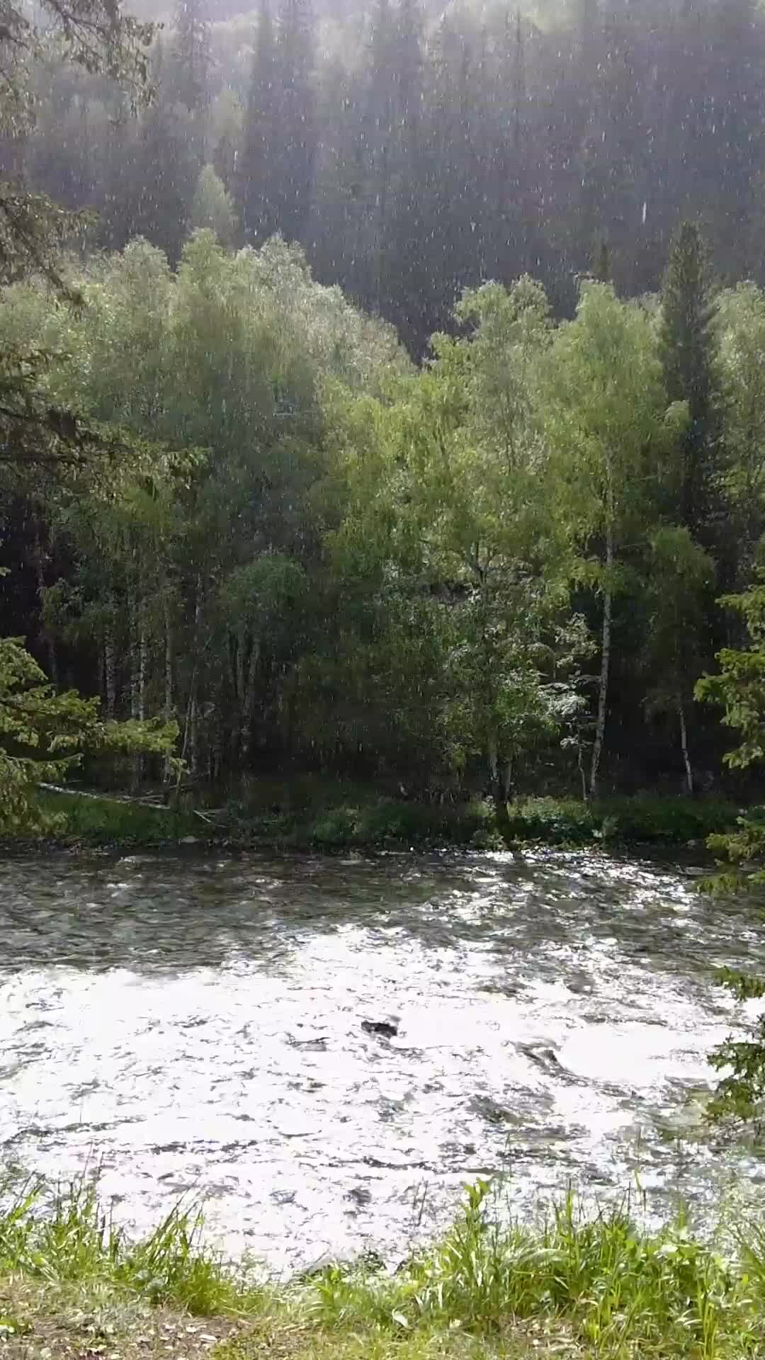 Волшебное кольцо маха и жужа. Туризм в лесу. Поход горы лес. Путешественник в лесу. Волшебное кольцо мультфильм жужа и маха.