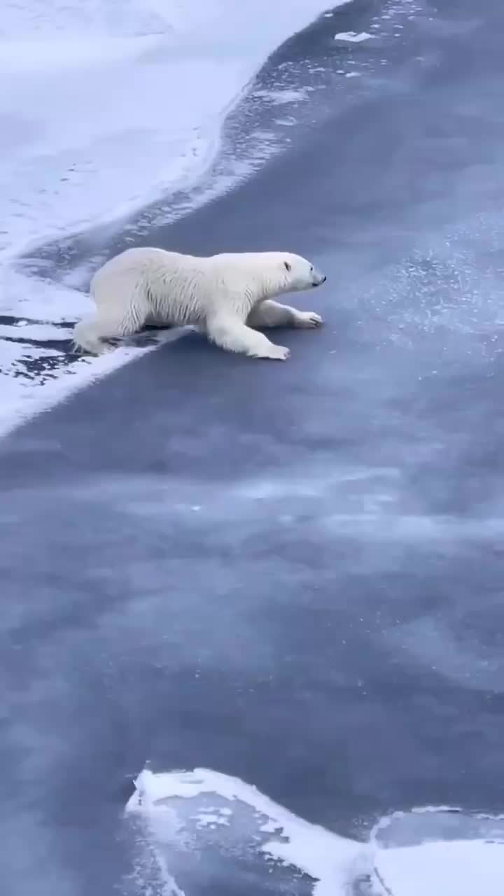 сон белый лед. айсберг. отражение айсберга. приснился лёд очень много. видеть во сне лед.