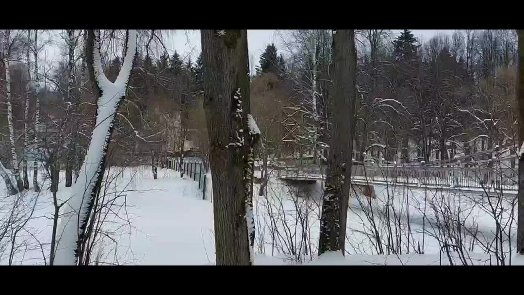 соревнования по поеданию острого перца в китае. острая жизнь. жизнь на курильских островах. коллапс определение. сахалин люди.