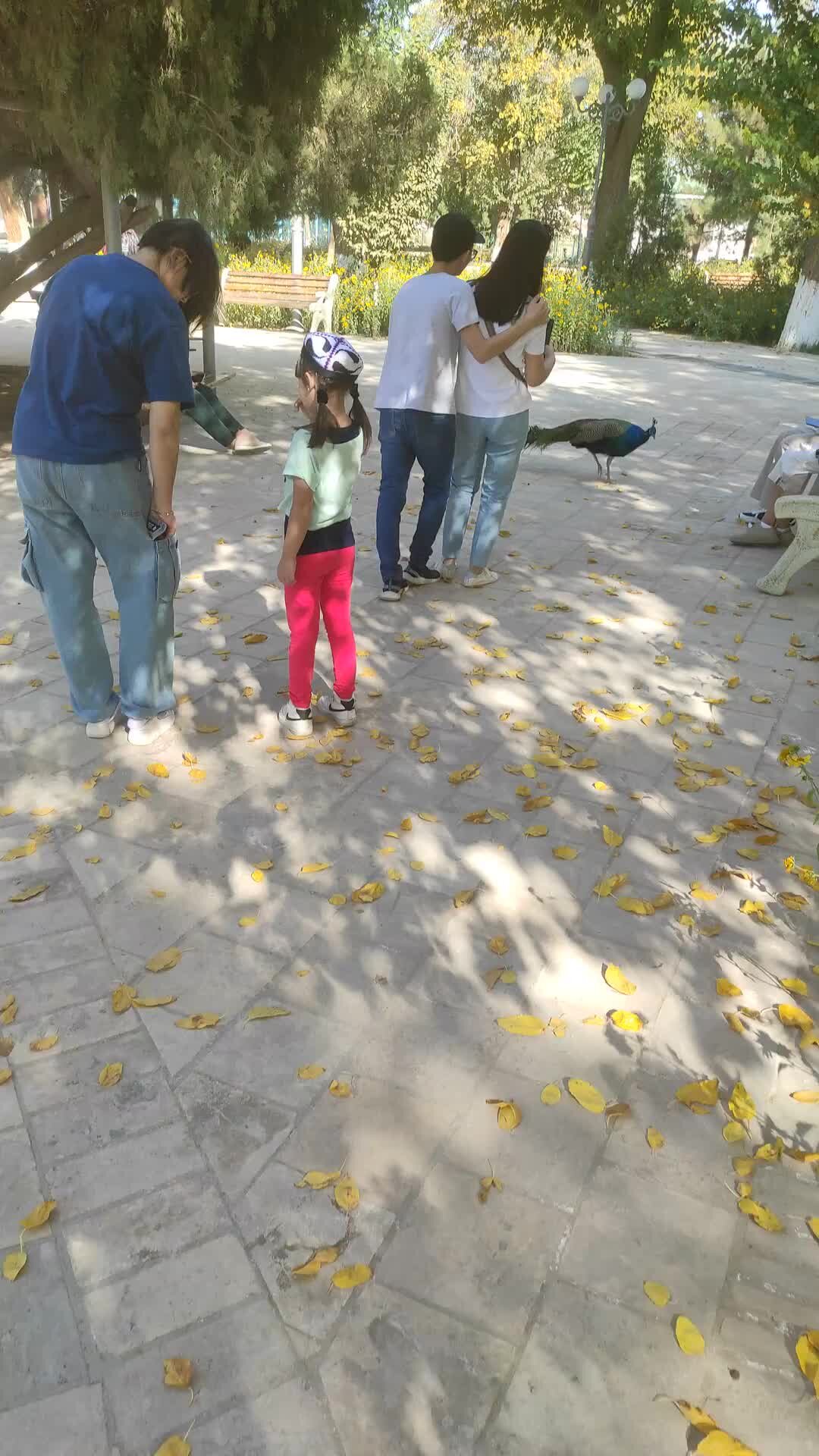 Чатсуорт-хаус внутри. Девушка в платье. Чатсуорт-хаус внутри. Николаевский дворец в санкт-петербурге зал. Мурад осман.