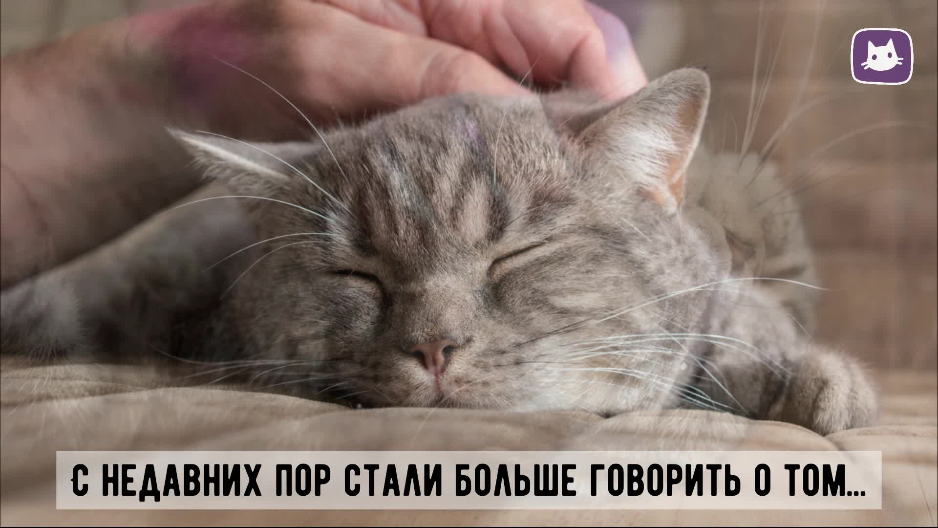 Первые шаги в питании