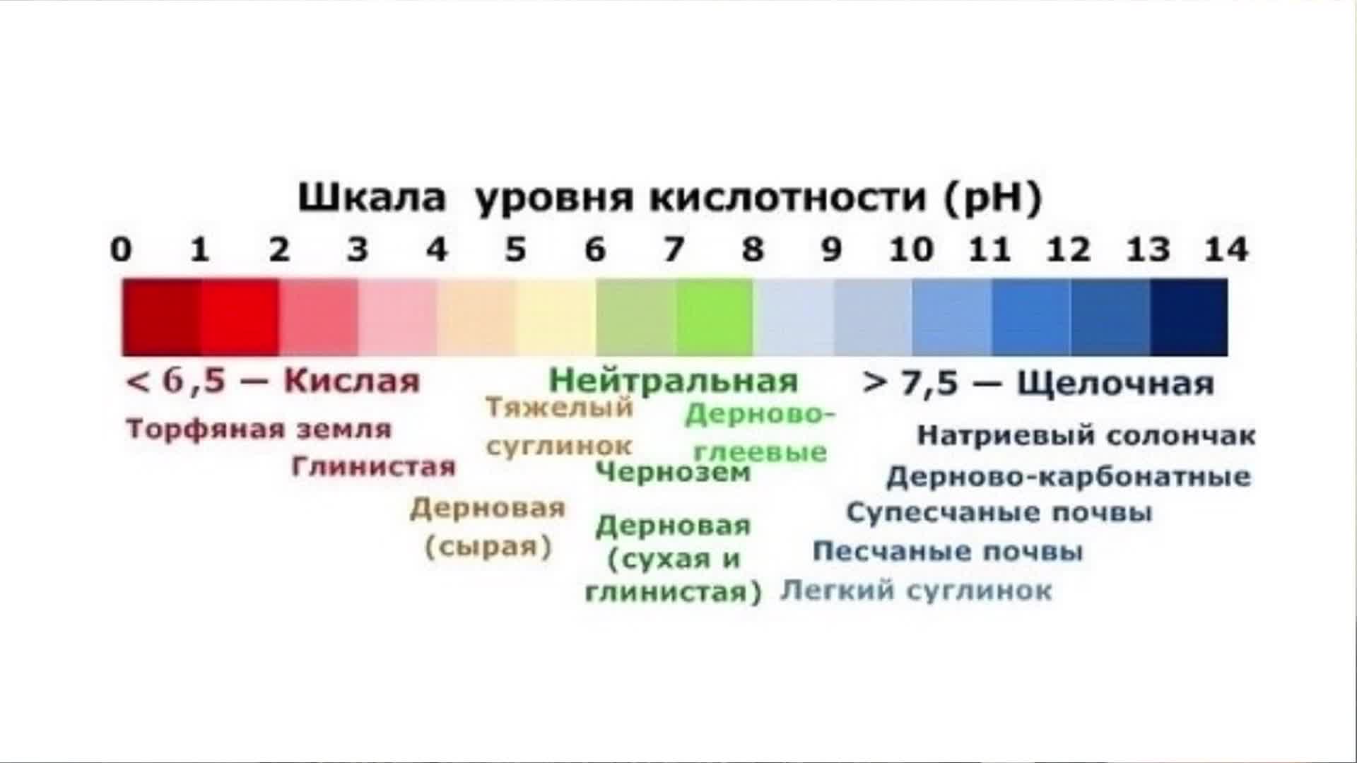 Общая кислотность норма. РН 7.5 почвы кислотность. PH таблица кислотности для растений. РН кислотность шкала. Кислотность почвы шкала кислотности.