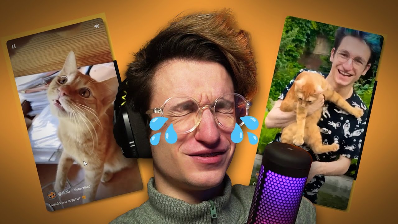 симбочка младший. сервер симбочки в майнкрафте. сервер симбы в майнкрафте. игры симбочки пимпочки. симбочка пимпочка младший игра спасти.