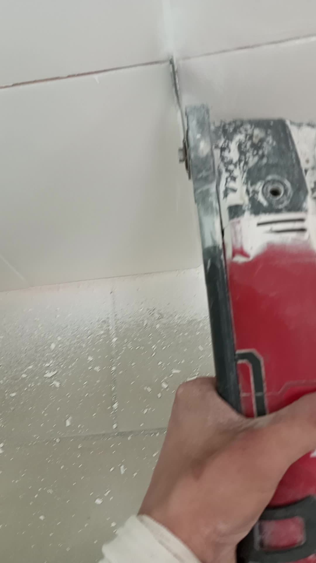 мяуканье звук. противный звук для кошек. кошка мяучит. противный звук для кошек. противный звук для кошек.