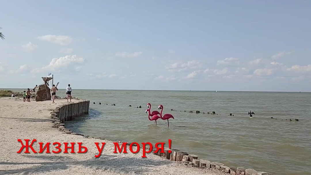 Салют база отдыха в должанской бассейн. Ейск пансионат приазовье 2023. Ейск с питанием у моря. Ейск пансионат приазовье питание. Супербуся ейск.