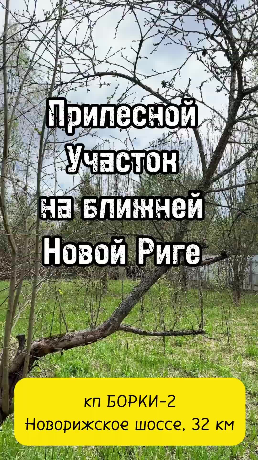 Ваш Дом в Подмосковье | Для тех, кто ищет прилесной участок на ближней Новой  Риге | Дзен