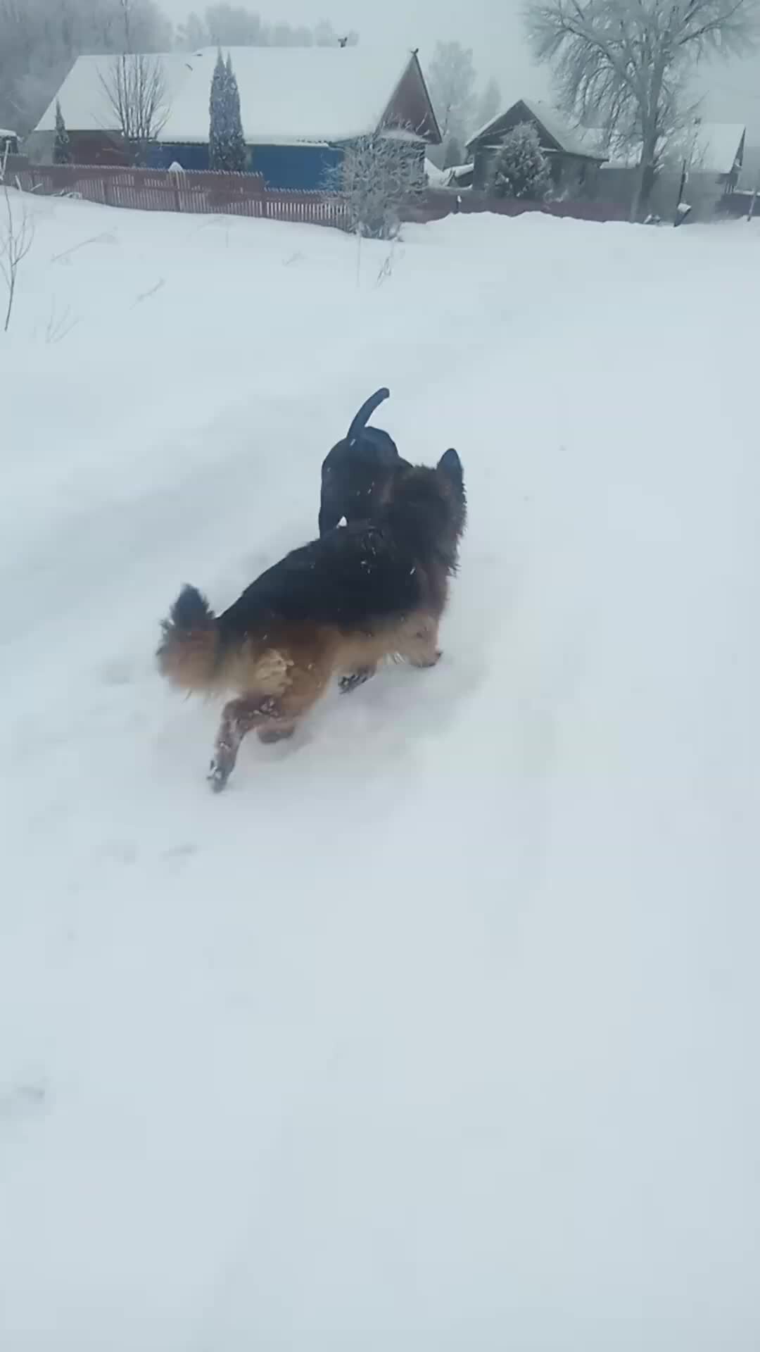 Прогулка спорт. Прогулка 40 минут. Ходьба на свежем воздухе. Прогулка 40 минут. Прогулка 40 минут.