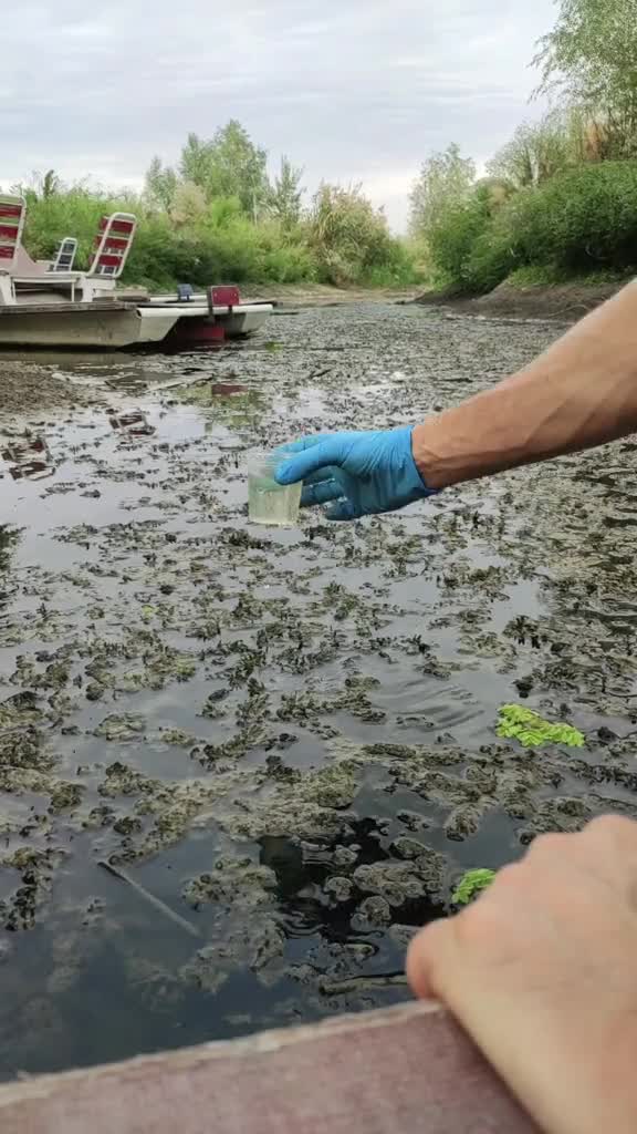 Вода в озере