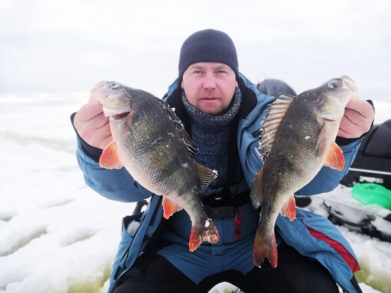Точку клева окуня в рыбинском водохранилище. Окунь рыбинка. Рыбинское водохранилище рыбинское водохранилище. Какой популярный балансир на окуня рыбинского водохранилища. Окунь рыбинка 2020.