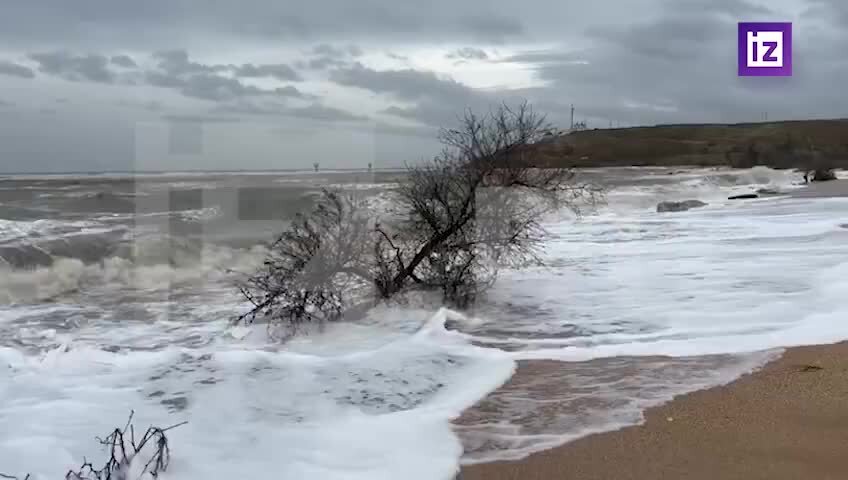 Море сходит с ума. Море сходит с ума