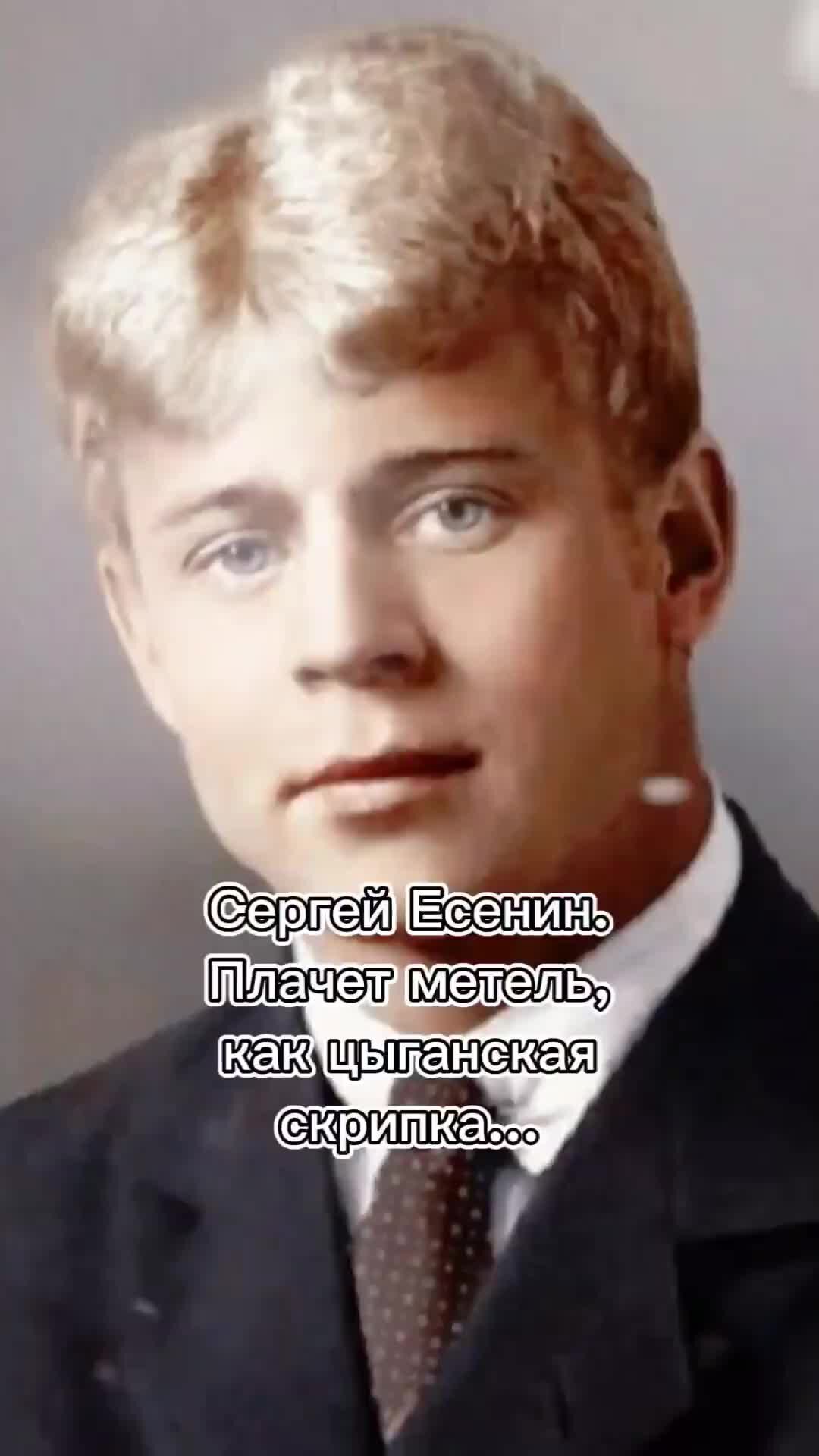 цыганская есенин. есенин метель. плачет метель есенин. есенин плачет метель как цыганская. стихотворение есенина плачет метель как цыганская скрипка.