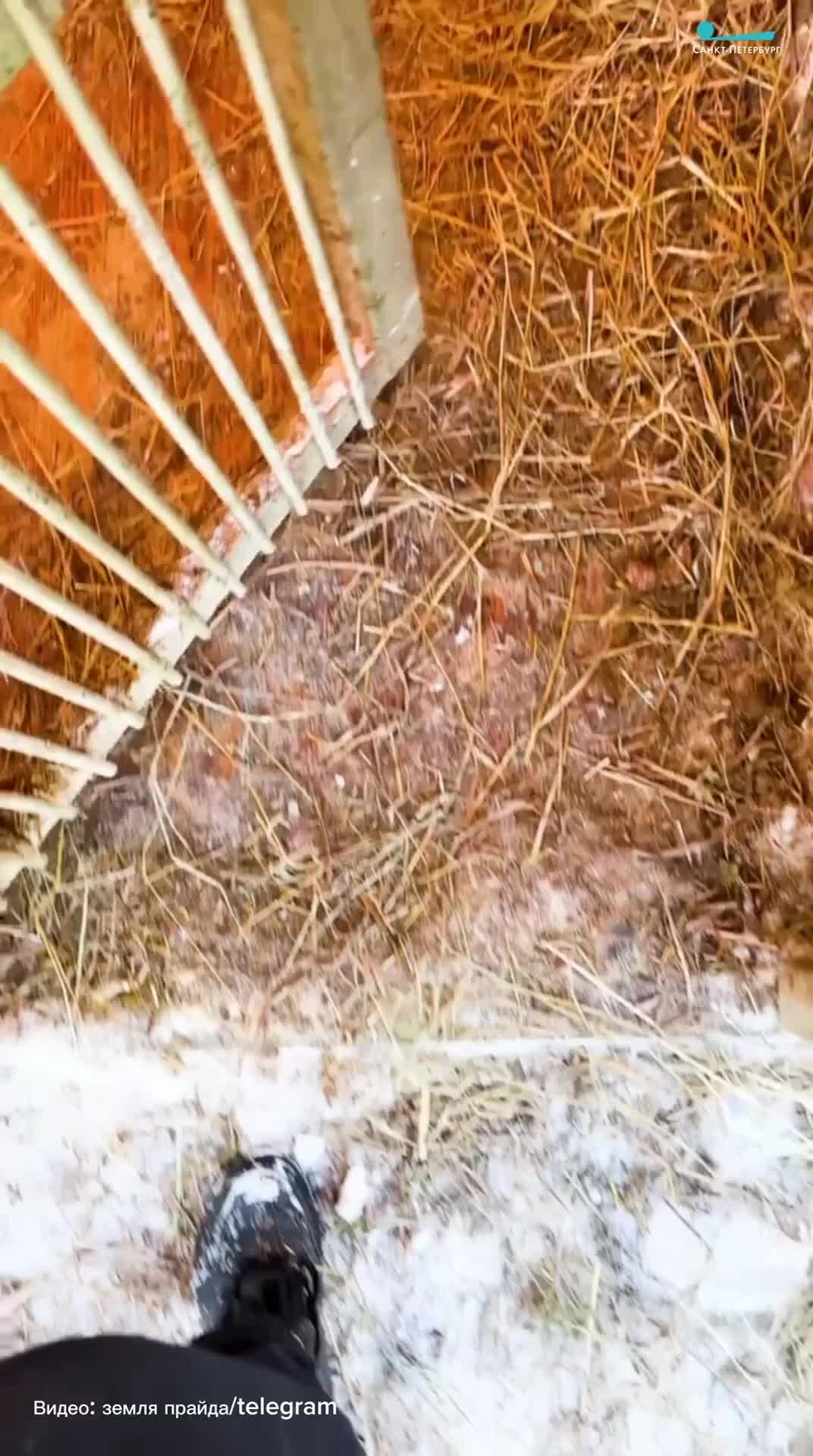 Физкультурный кабинет. Бесплатный реабилитационный центр санкт петербург. Реабилитационный центр на коломяжском. Реабилитационный центр рассеянного склероза спб динамо 3. Центр детской реабилитации.