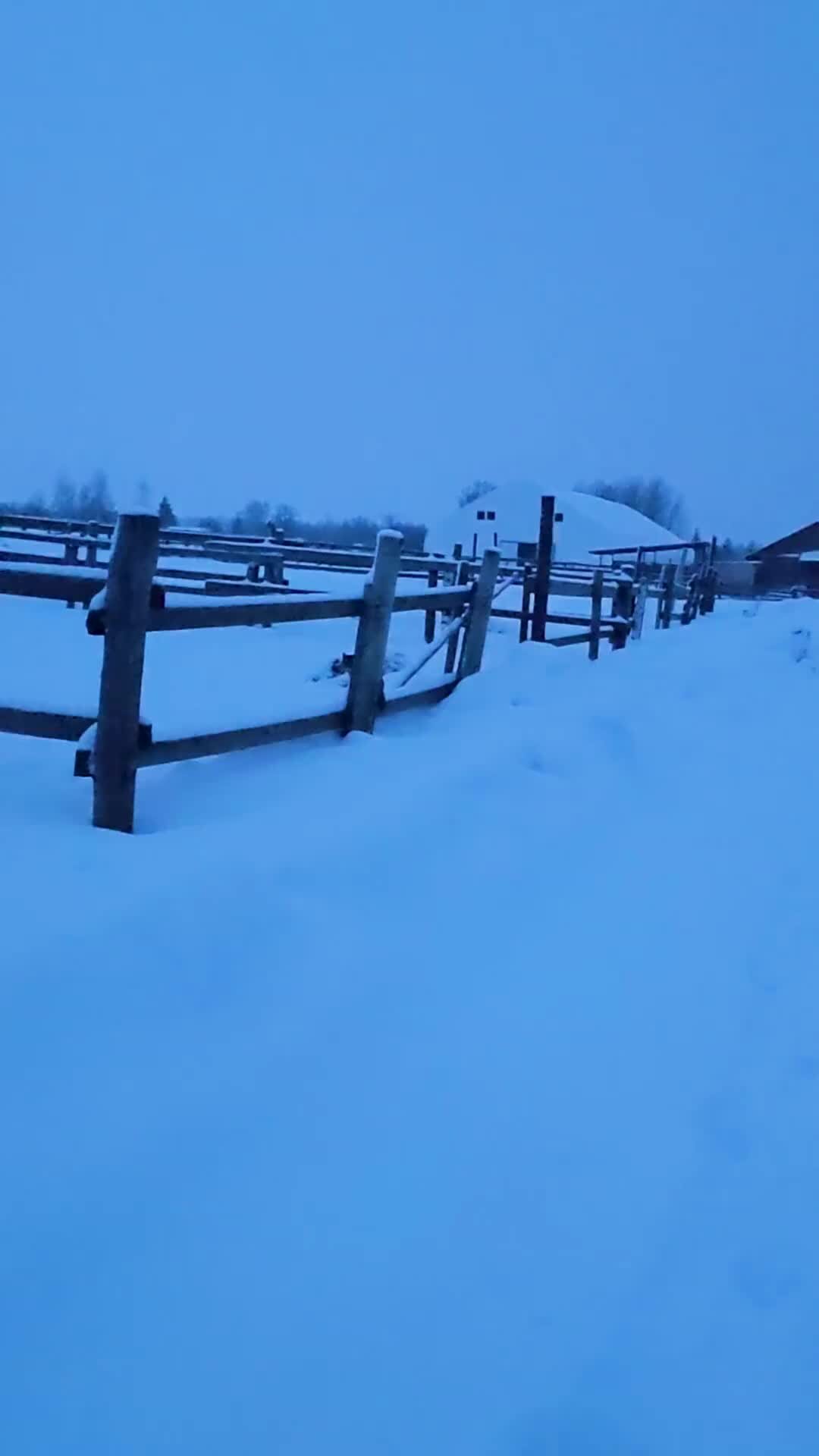 алексей тарасов любэ. группа любэ атас 1990. харламов атас там даже лошадь. гарик харламов гусар. брюс собака харламова.