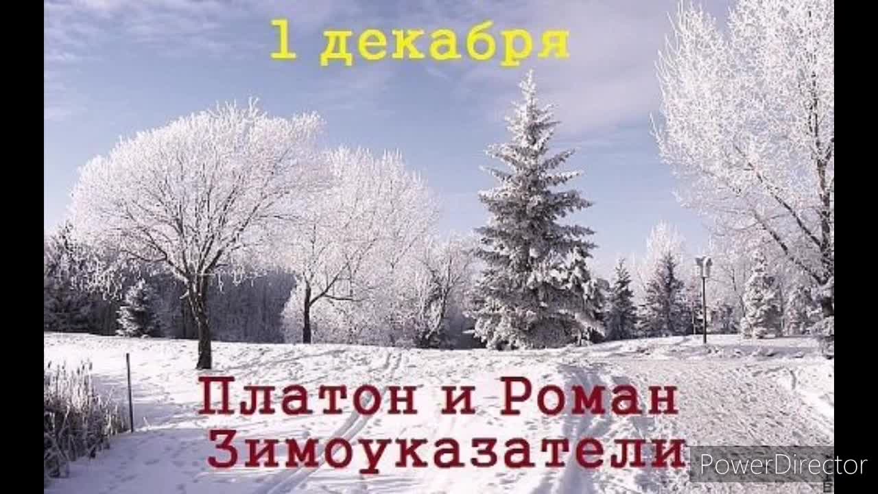 Том что с 1 декабря. 1 Декабря народный календарь. 1 Декабря народные приметы.