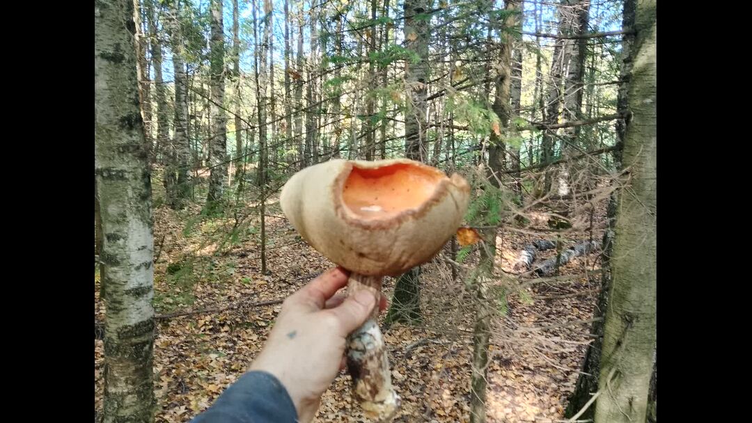 Позитивная деревня. Из москвы в деревню или пенсионеры на позитиве. Дзен деревня на позитиве последнее видео. Жизнь в приволжской деревне последнее видео. Простой человек из деревни.