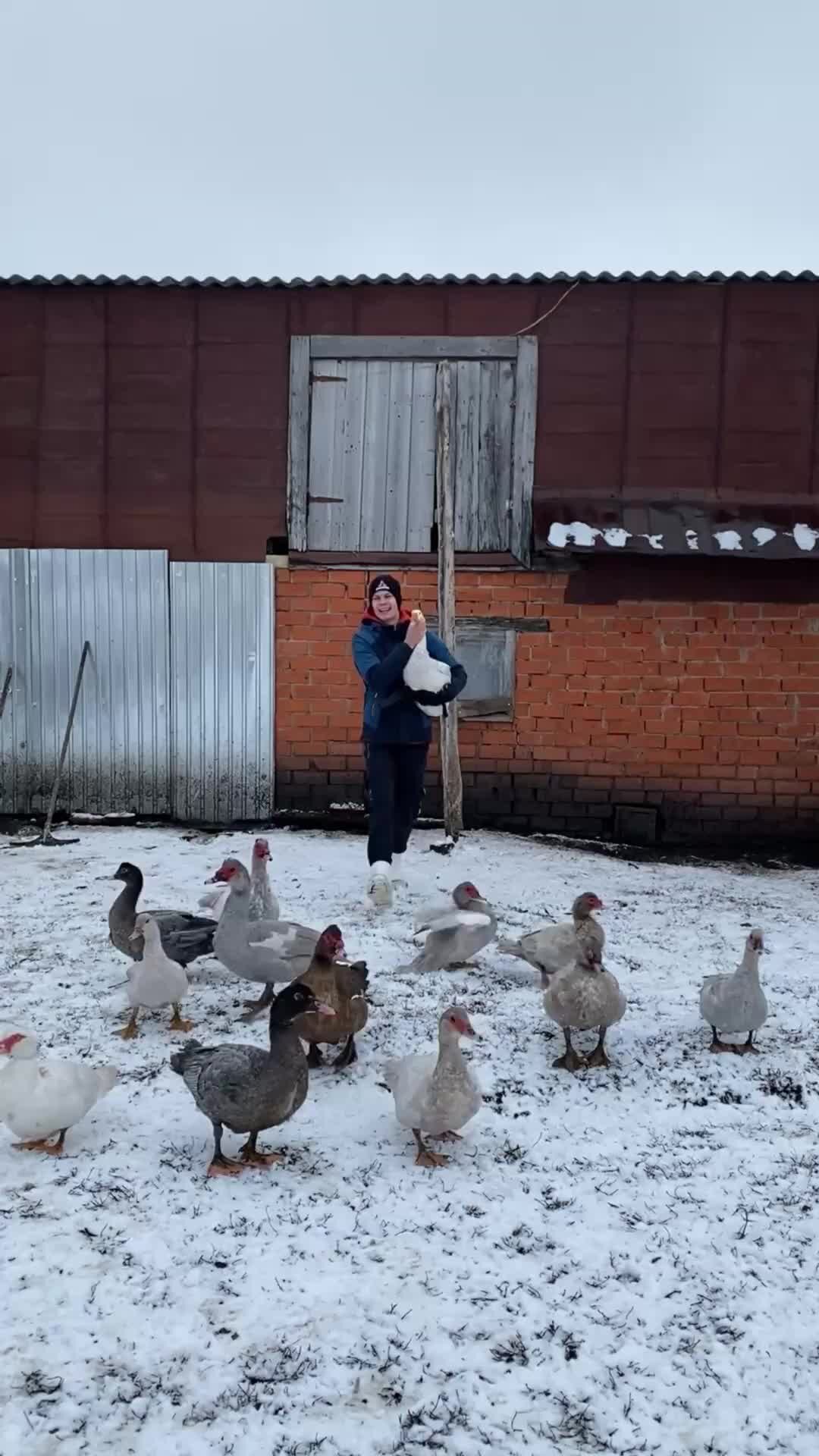 Кирилл Степанов | Молодой фермер 👨‍🌾 | В самое сердце 💔 🫶 # ...