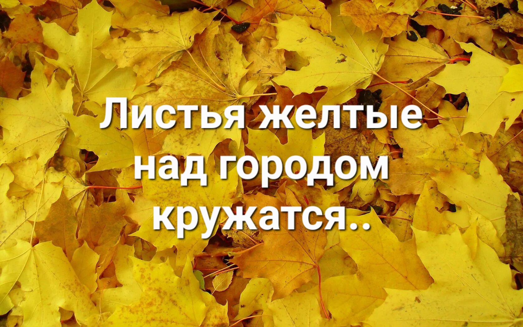 Минус песни листья желтые над городом. Листья жёлтые над городом кружатся текст. Текст песни листья жёлтые над городом кружатся. Текст песни листья жёлтые над городом кружатся текст.