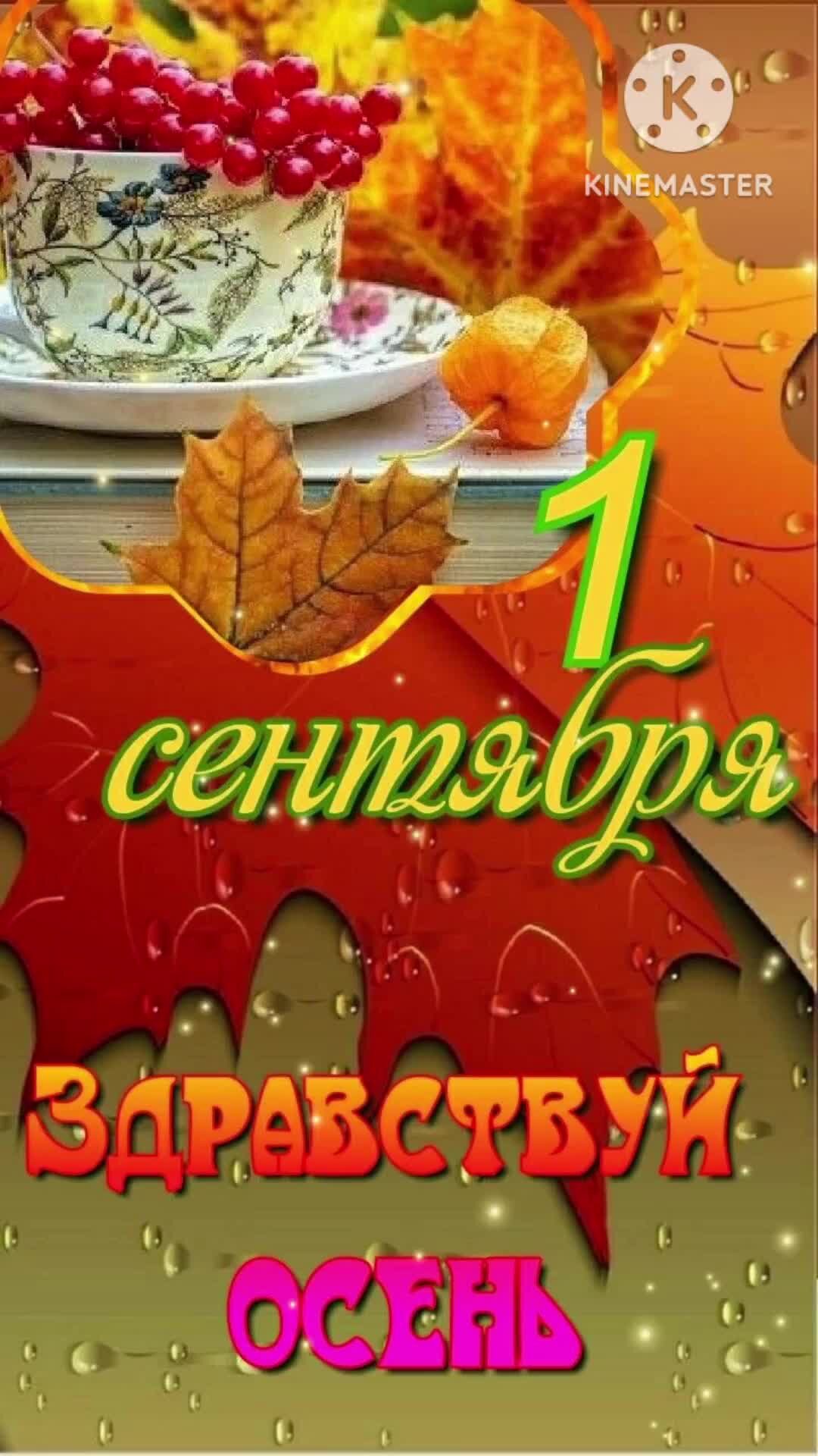 Доброе осеннее утро сентября с рябиной и пожеланиями. Доброе утро сентября открытки с надписями. Замечательной осени. Картинки с добрым утром красивые необычные оригинальные. Открытки с добрым утром осенние.
