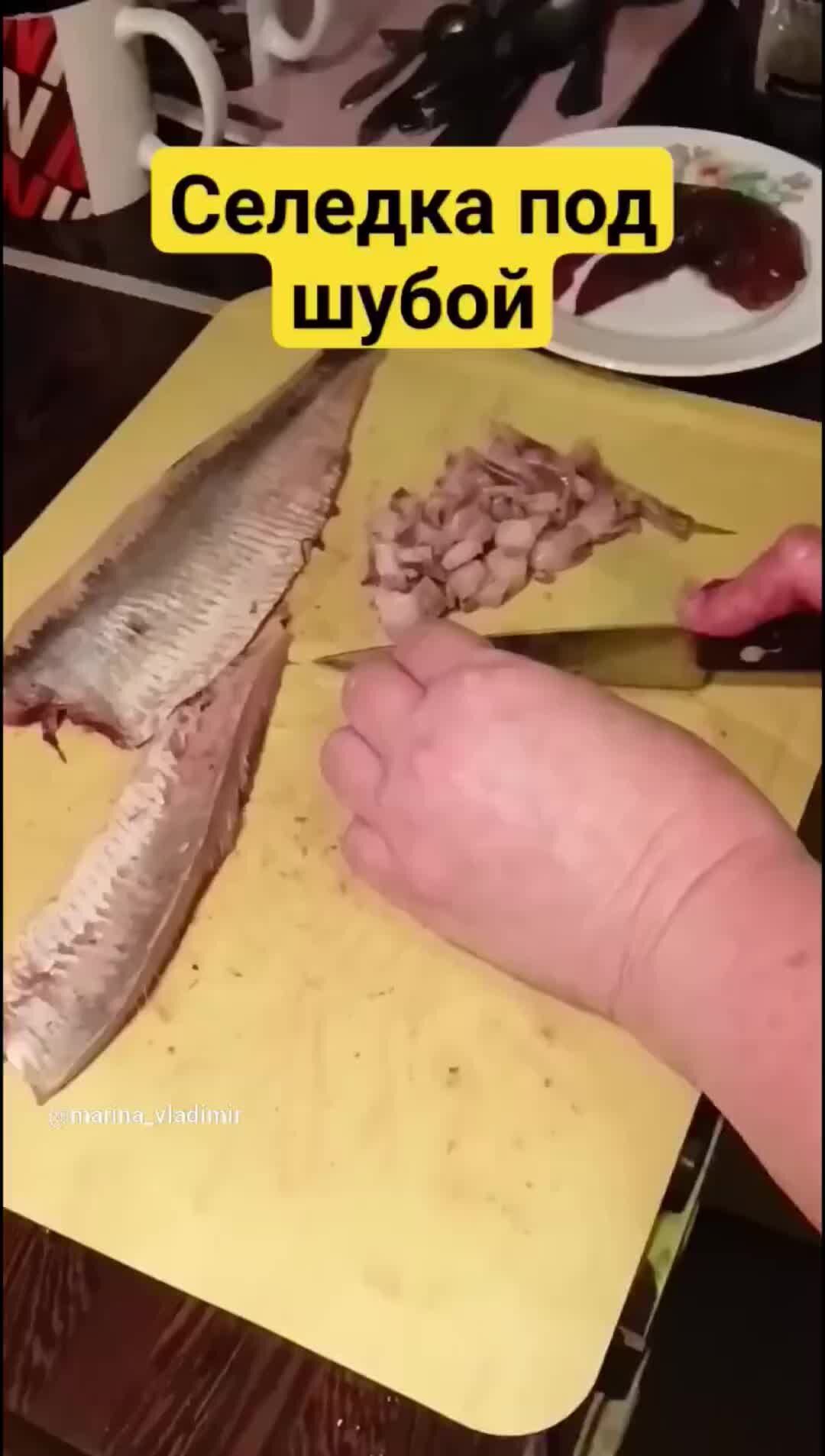 сельдь под шубой с яблоком очередность слоев. салат селедка красивая подача. сельдь под шубой от ивлева константина. сельдь подшуба. салат селёдка под шубой без селёдки.