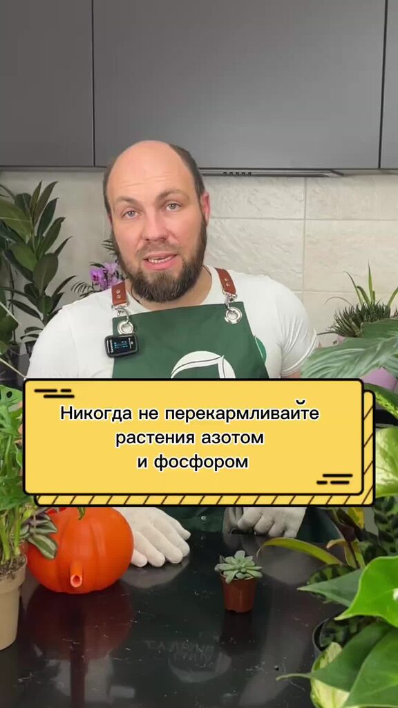 Азот и фосфор в воде. Азот и фосфор в воде