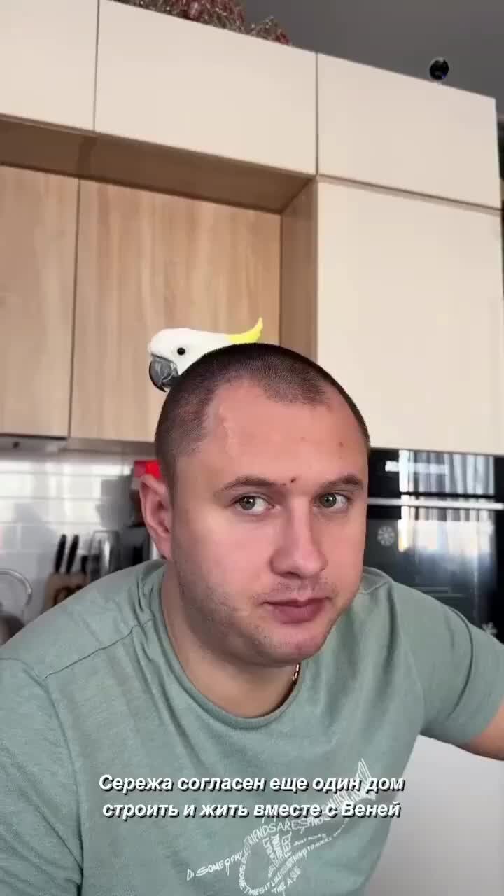 елена зверева мои 2 сына 2 моих крыла. два крыла текст. песня зверевой два сына. песня зверевой два сына. песня зверевой два сына.