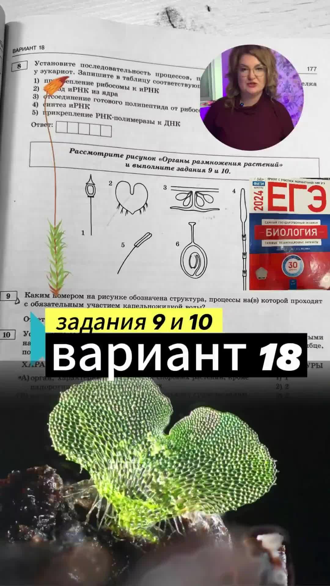 просто БИОЛОГИЯ | вариант 18 задание 9 и 10 #рохлов #егэ | Дзен