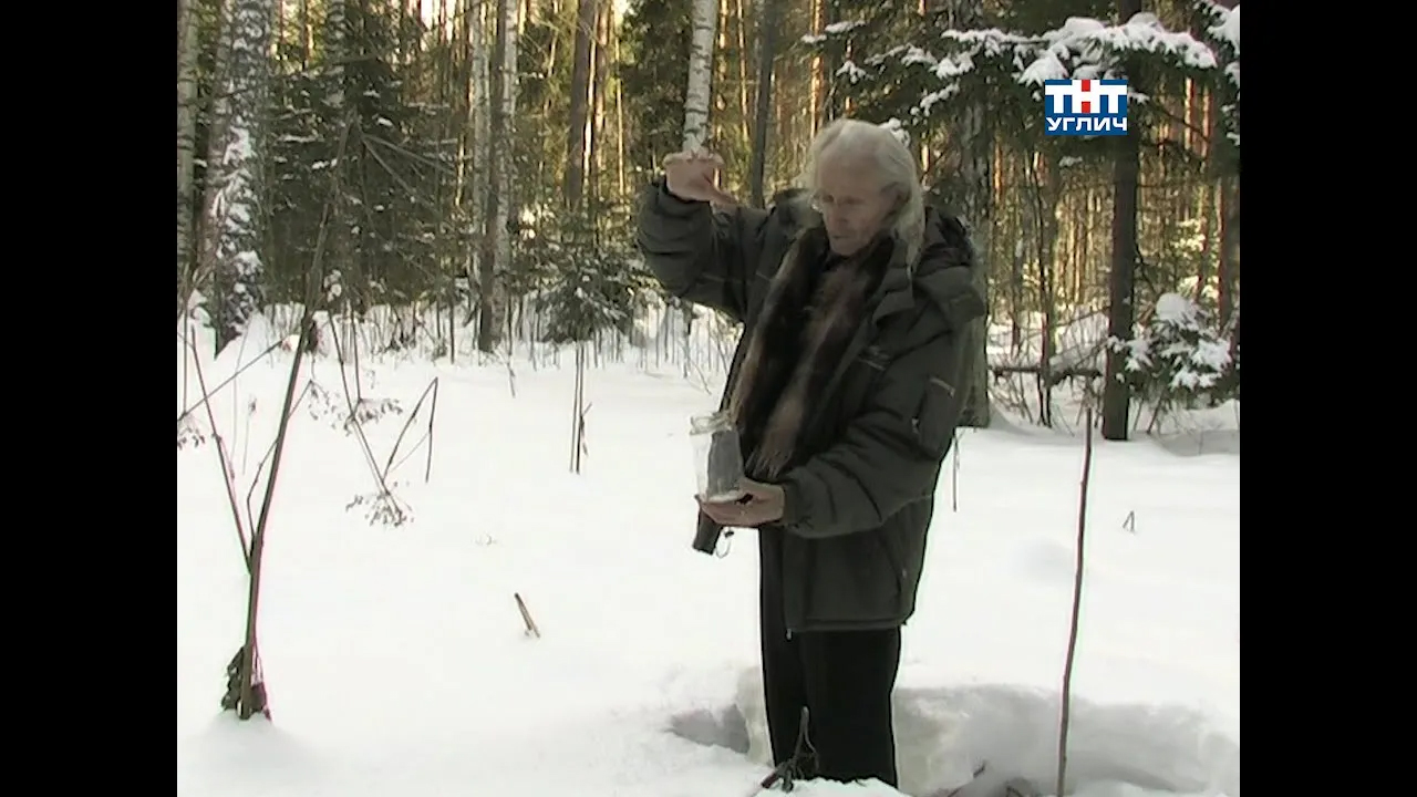 Долина теней фильм норвегия. В лесу 2010. Месса в лесу. Один в лесу 1996. Буковые леса грибы.