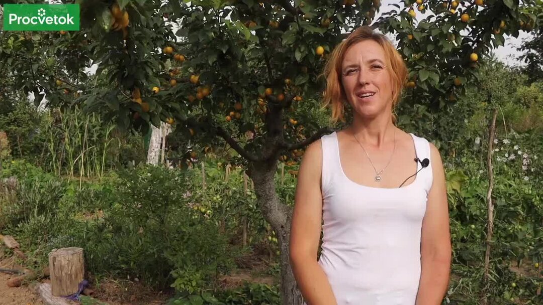 Как избавиться от лишней поросли деревьев и кустарников и для чего это ...