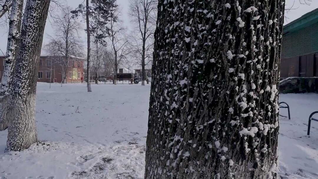 краснодар васюринская. индекс станицы васюринской. краснодарский край станица динская васюринская. индекс станицы васюринской. день станицы васюринской 2022.