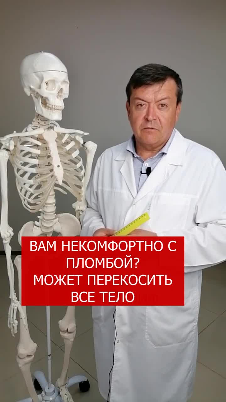 зубная фея высоцкого