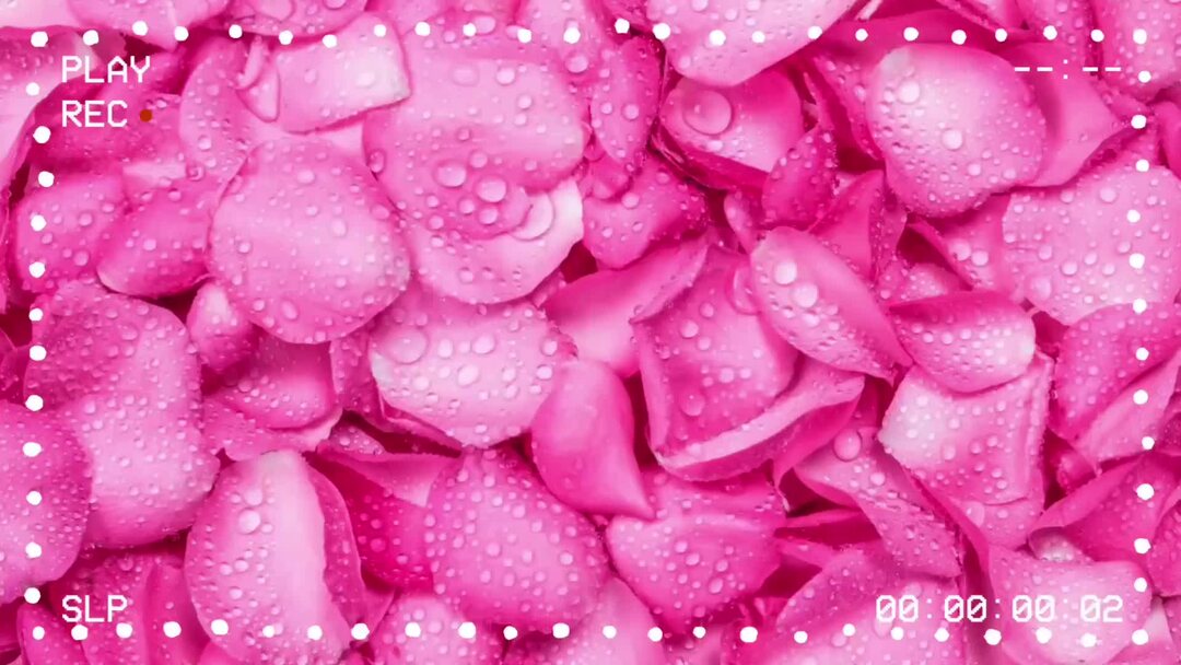 ДЕШЕВЛЕ НЕ БЫВАЕТ 😱 БЮДЖЕТНЫЕ ПОКУПКИ ВАЙЛДБЕРИС И ЯНДЕКС МАРКЕТ 🤩 ...