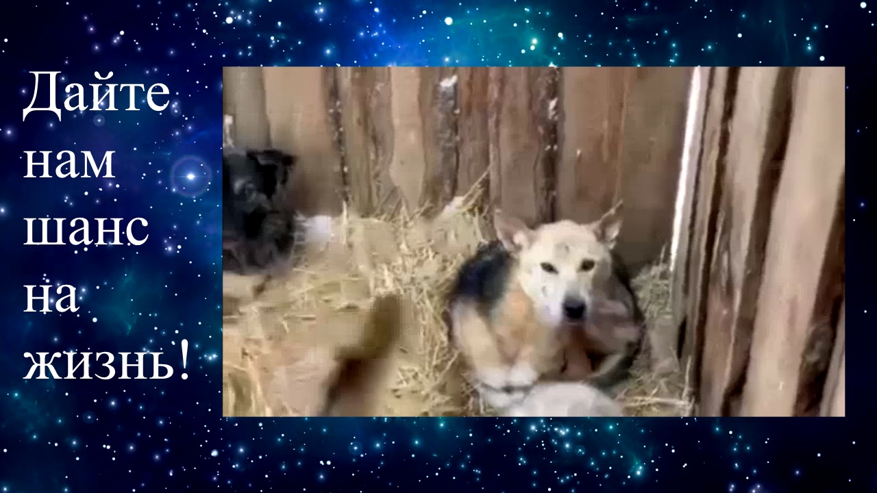 Может быть через жизнь. Может быть через жизнь